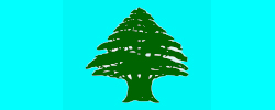 Nairobi Timber
